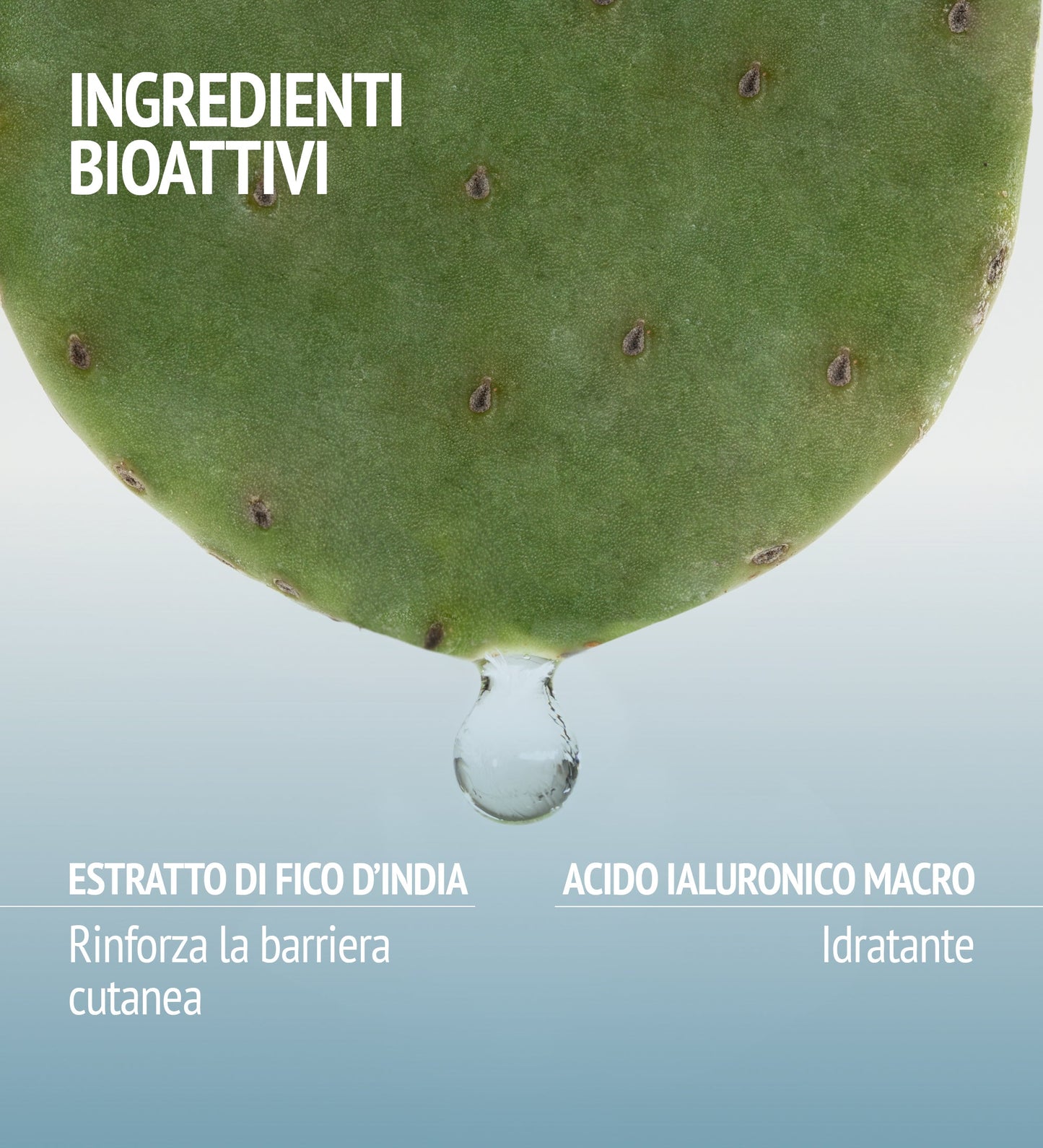 HYDRAMEMORY HYDRA PLUMP MASK