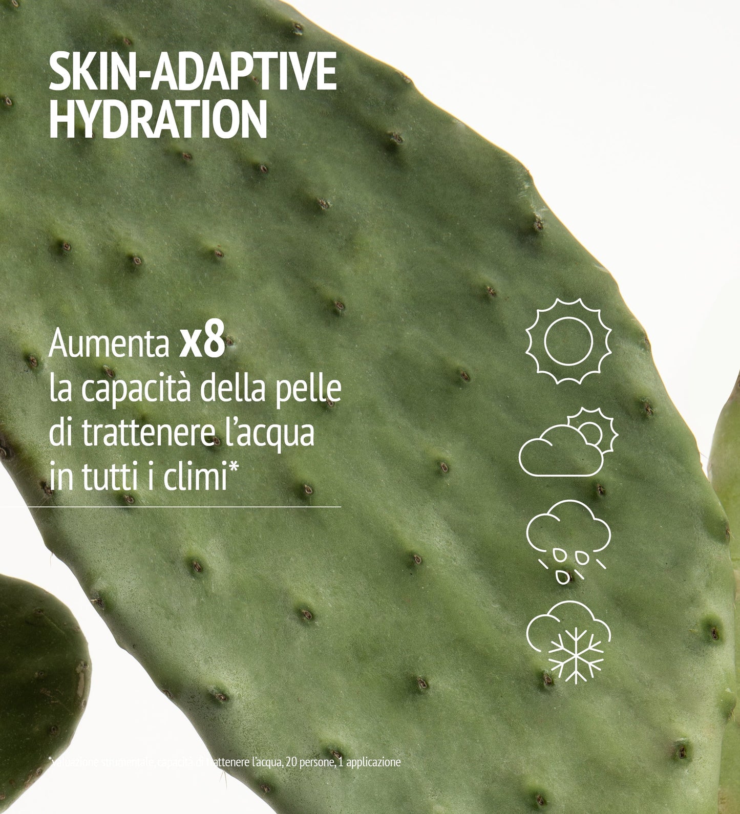 HYDRAMEMORY LIGHT SORBET CREAM